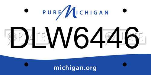 DLW6446 Michigan License Plate