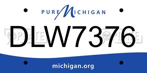 DLW7376 Michigan License Plate