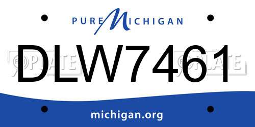 DLW7461 Michigan License Plate