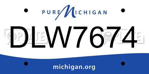 DLW7674 Michigan License Plate