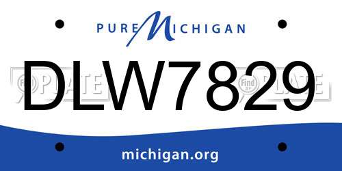 DLW7829 Michigan License Plate