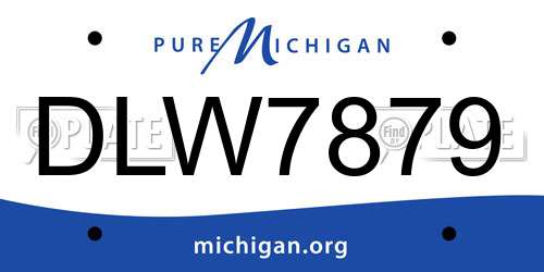 DLW7879 Michigan License Plate