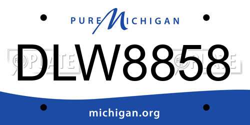 DLW8858 Michigan License Plate