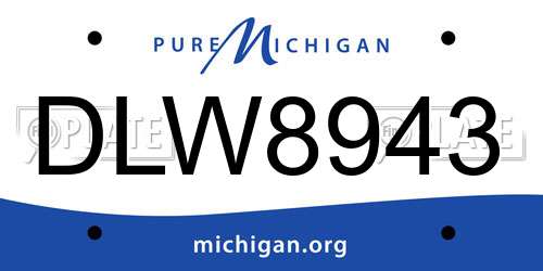 DLW8943 Michigan License Plate