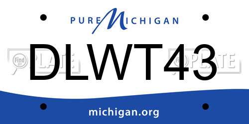 DLWT43 Michigan License Plate
