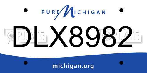 DLX8982 Michigan License Plate