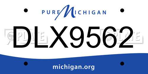 DLX9562 Michigan License Plate