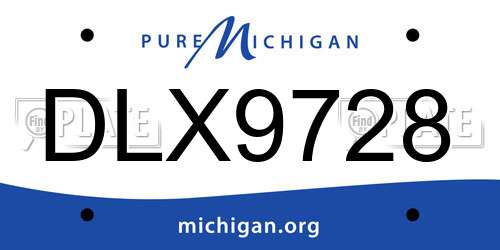 DLX9728 Michigan License Plate