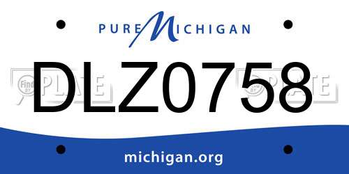 DLZ0758 Michigan License Plate