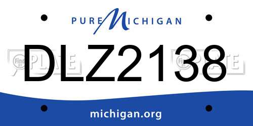 DLZ2138 Michigan License Plate