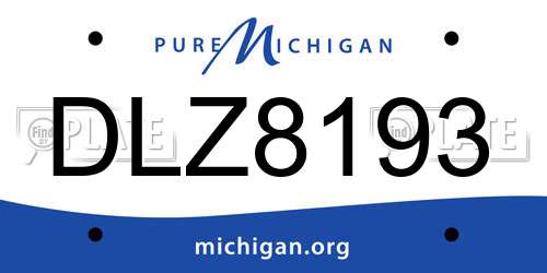 DLZ8193 Michigan License Plate