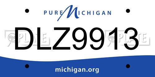 DLZ9913 Michigan License Plate