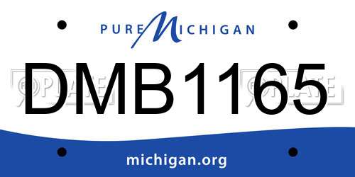 DMB1165 Michigan License Plate