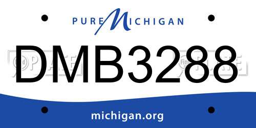 DMB3288 Michigan License Plate
