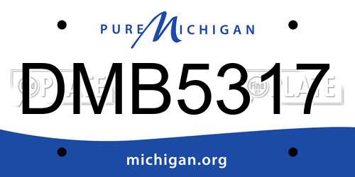 DMB5317 Michigan License Plate