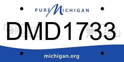 DMD1733 Michigan License Plate