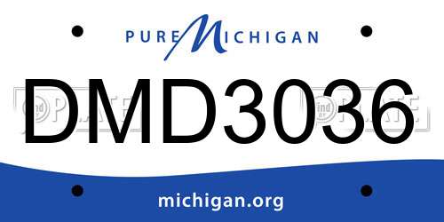 DMD3036 Michigan License Plate