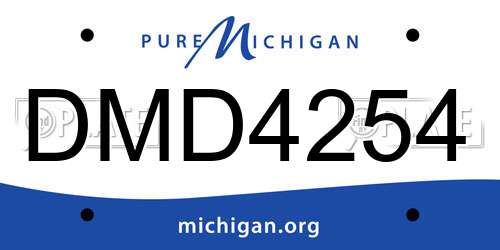DMD4254 Michigan License Plate