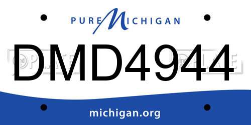 DMD4944 Michigan License Plate