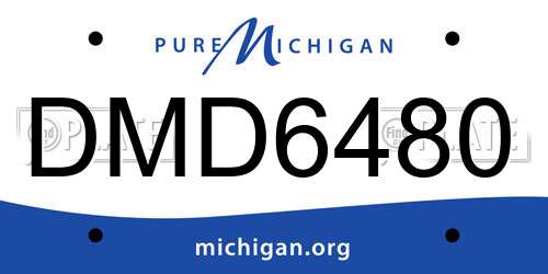 DMD6480 Michigan License Plate