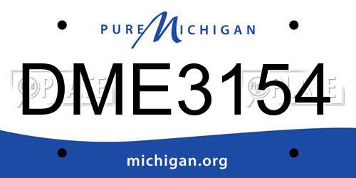 DME3154 Michigan License Plate