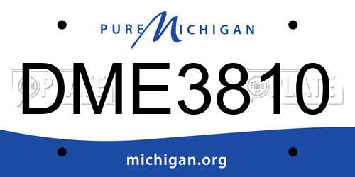 DME3810 Michigan License Plate