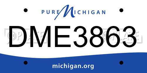 DME3863 Michigan License Plate