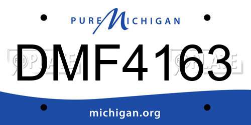 DMF4163 Michigan License Plate