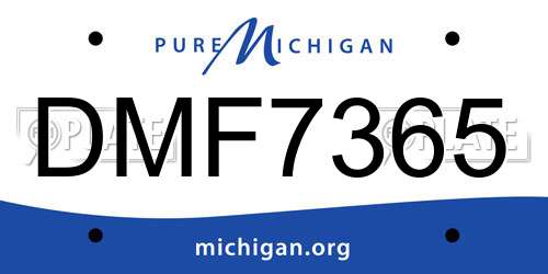 DMF7365 Michigan License Plate