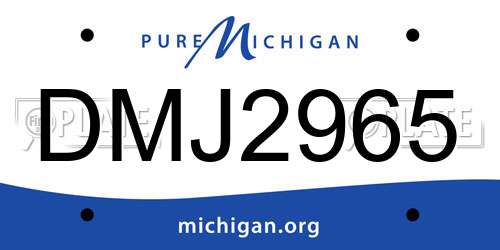 DMJ2965 Michigan License Plate