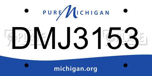 DMJ3153 Michigan License Plate