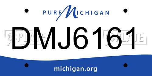 DMJ6161 Michigan License Plate