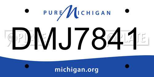 DMJ7841 Michigan License Plate