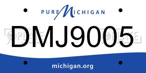 DMJ9005 Michigan License Plate