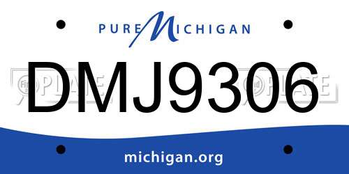 DMJ9306 Michigan License Plate