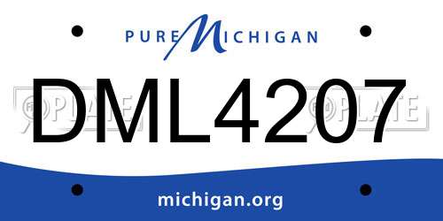 DML4207 Michigan License Plate
