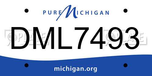 DML7493 Michigan License Plate