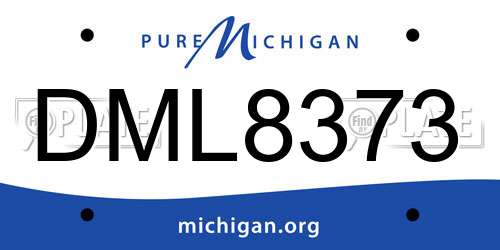 DML8373 Michigan License Plate