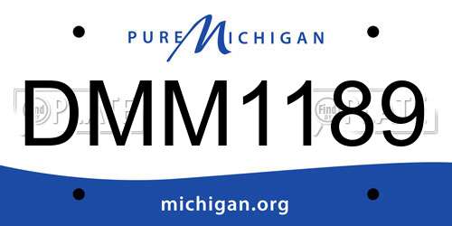 DMM1189 Michigan License Plate