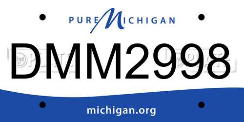 DMM2998 Michigan License Plate