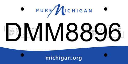 DMM8896 Michigan License Plate