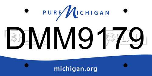 DMM9179 Michigan License Plate