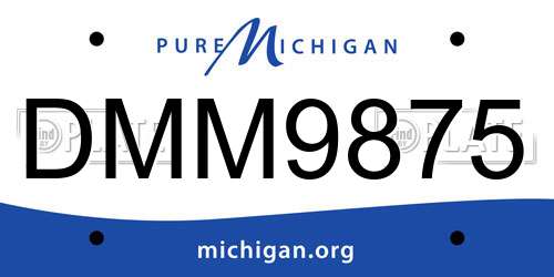 DMM9875 Michigan License Plate