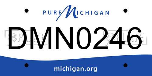 DMN0246 Michigan License Plate