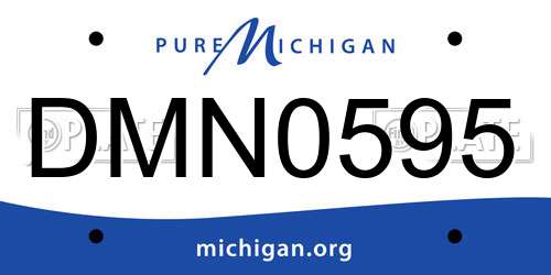 DMN0595 Michigan License Plate