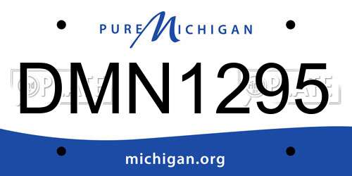 DMN1295 Michigan License Plate