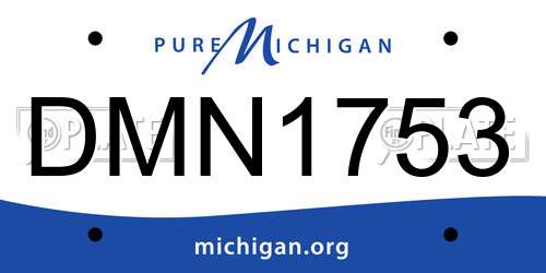 DMN1753 Michigan License Plate