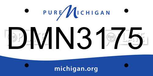 DMN3175 Michigan License Plate