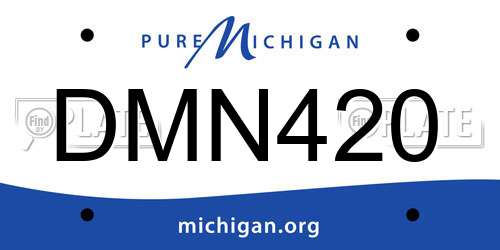 DMN420 Michigan License Plate