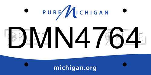 DMN4764 Michigan License Plate